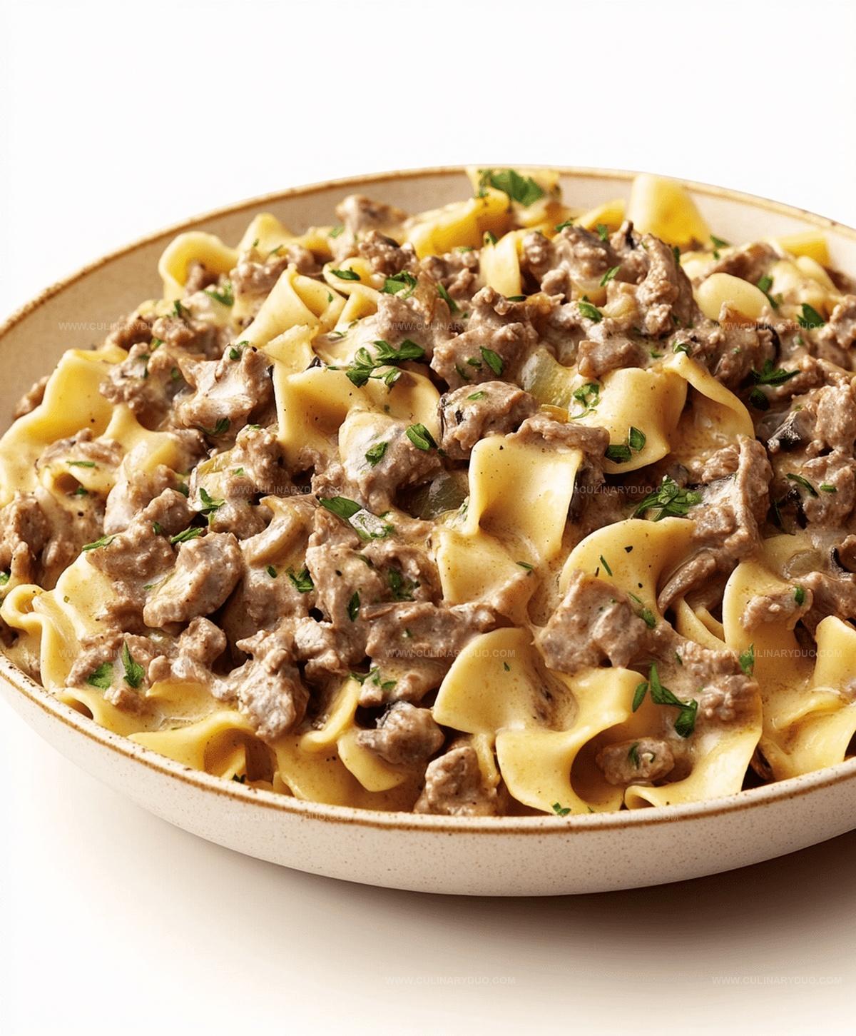 Ground Beef Stroganoff Recipe