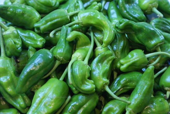 Padron Pepper