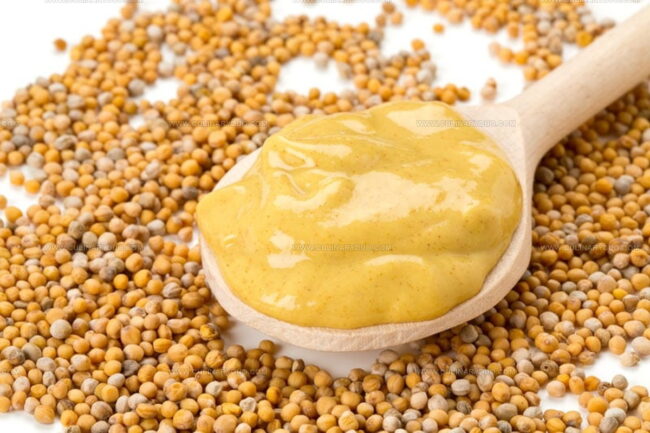 The Overview of Yellow Mustard