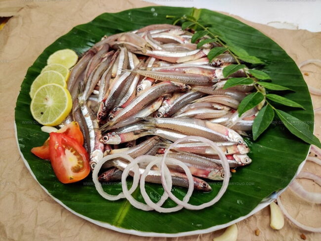 Anchovy Taste Guide
