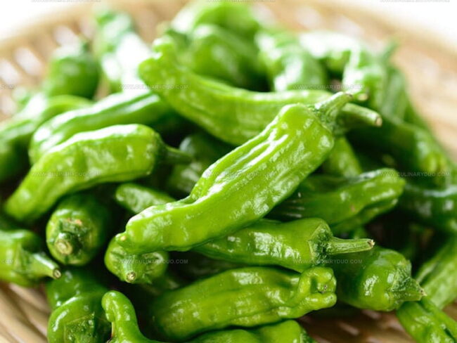 Shishito Pepper Profile